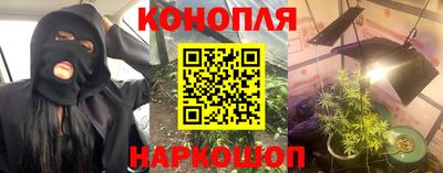 крисы Краснознаменск